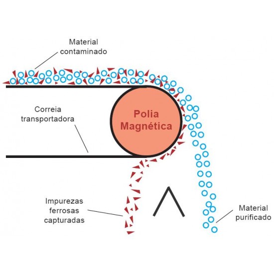 Polia Magnética